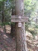 3.24.06 Dog Mountain 007 